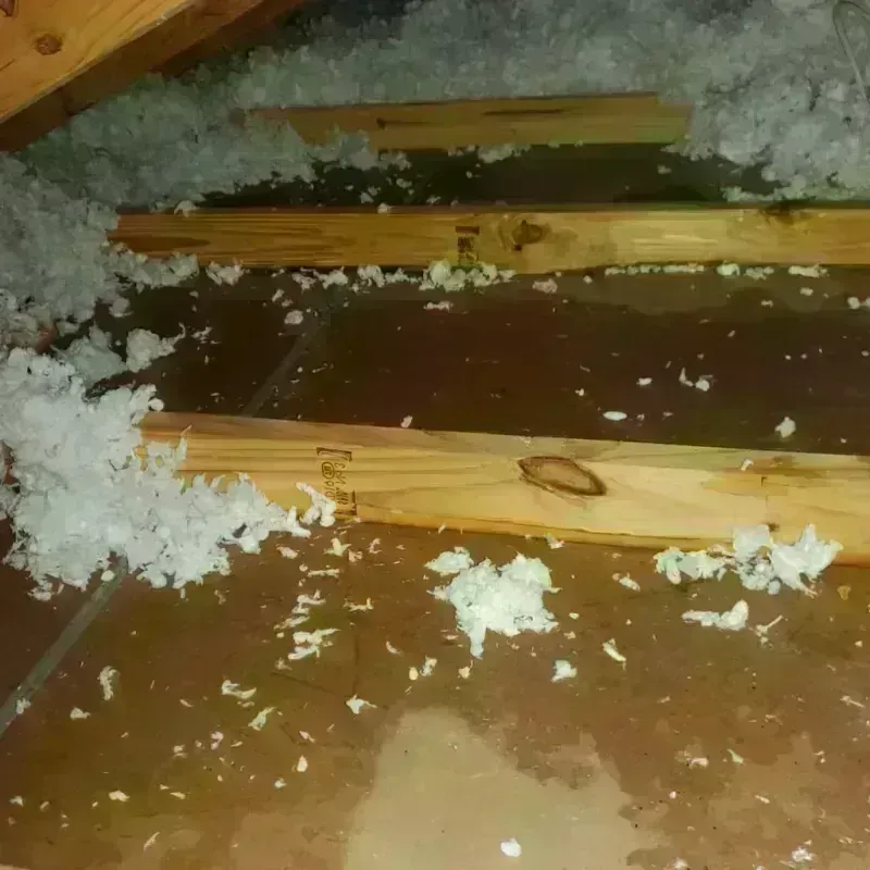 Attic Water Damage in Ballinger, TX