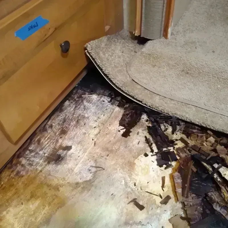 Wood Floor Water Damage in Ballinger, TX